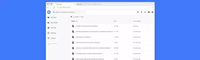 Go File File Manager Interface 自建云盘系列——FileManager(基于Go的轻量级解决方案) | Svlik's Blog